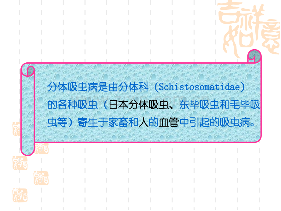 吸虫病-分体吸虫.pptx_第1页