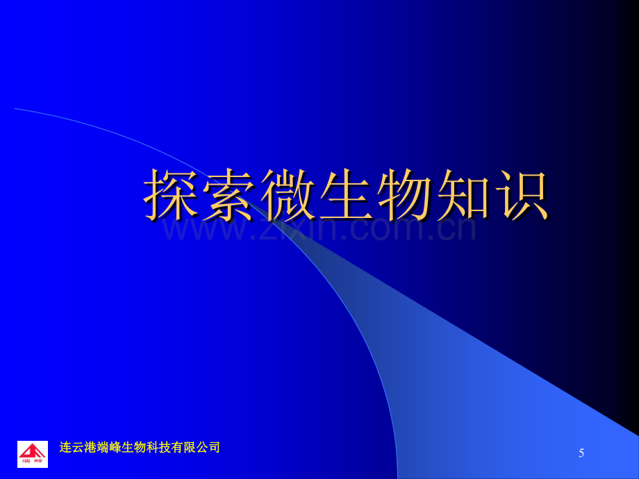 微生物基础知识培训强化版医学.pptx_第2页