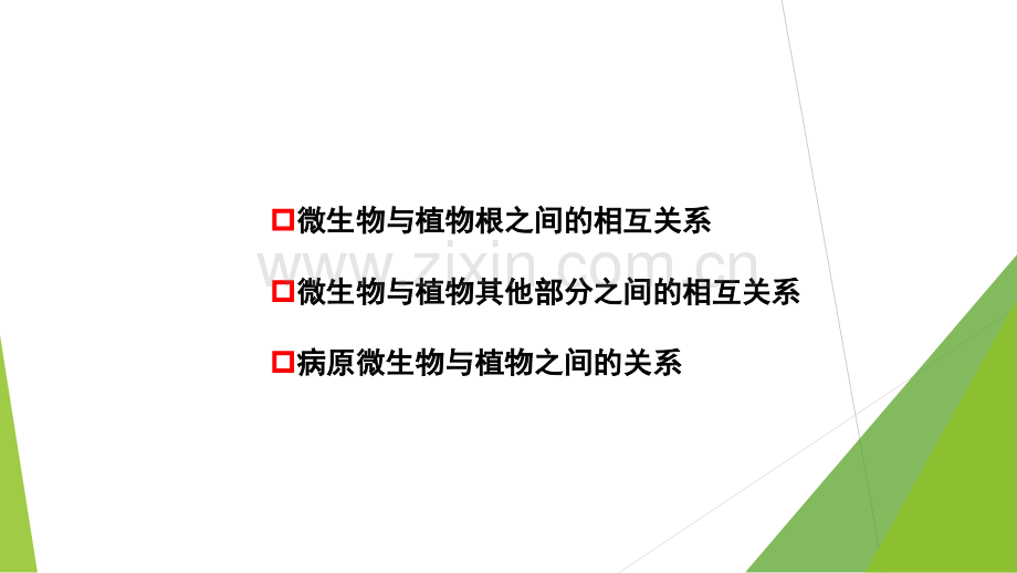 微生物与植物之间的关系研究资料.pptx_第2页