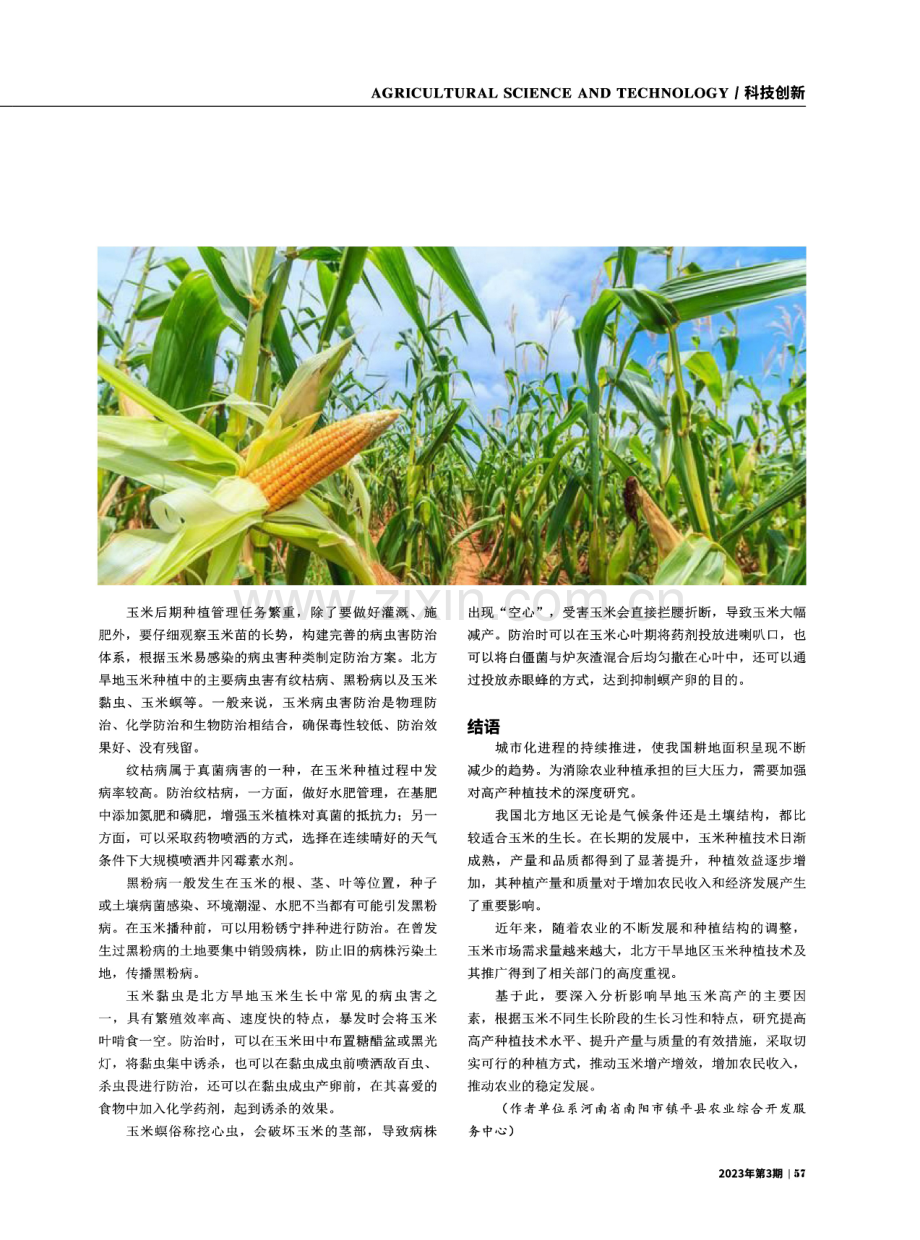 加强种植技术分析助力北方旱地玉米增产增效.pdf_第3页