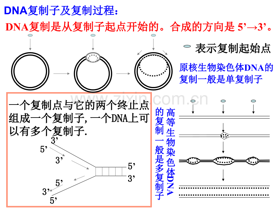 拓展与练习.pptx_第2页