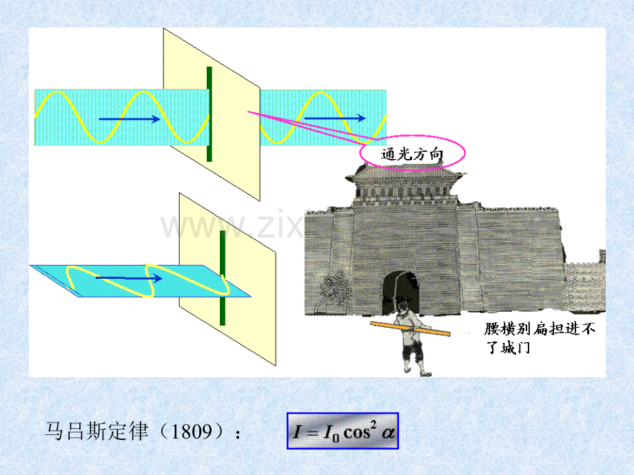 大学物理中的光的偏振.pptx_第3页