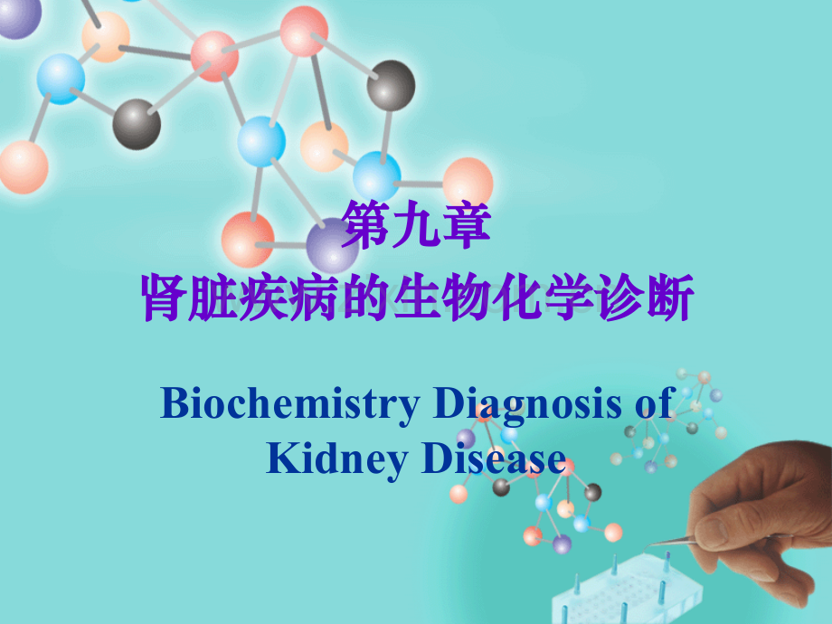 常见肾脏疾病的生物化学诊断.pptx_第1页