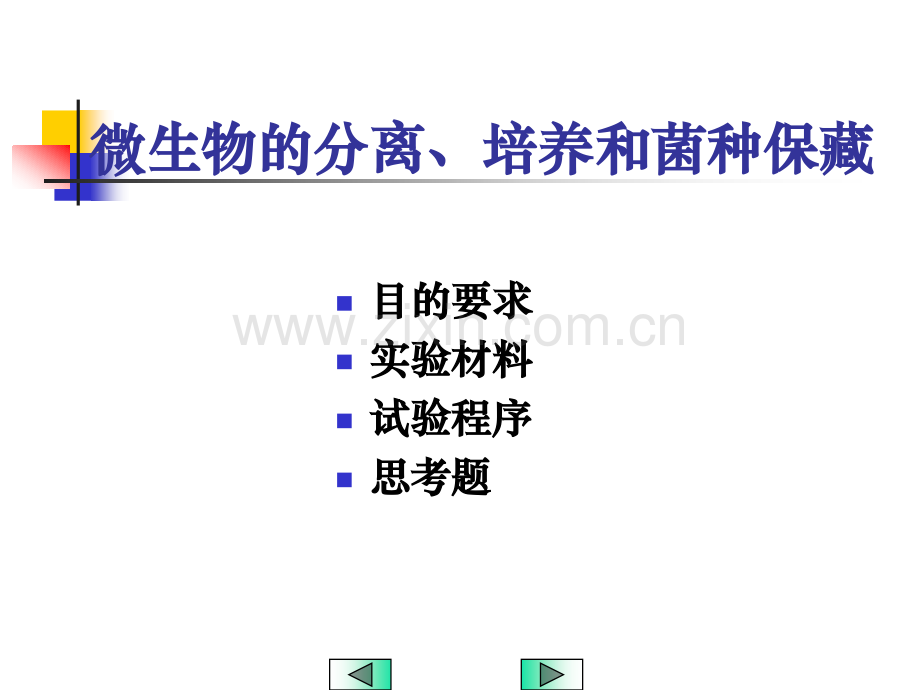 微生物的分离培养和菌种保藏.pptx_第2页