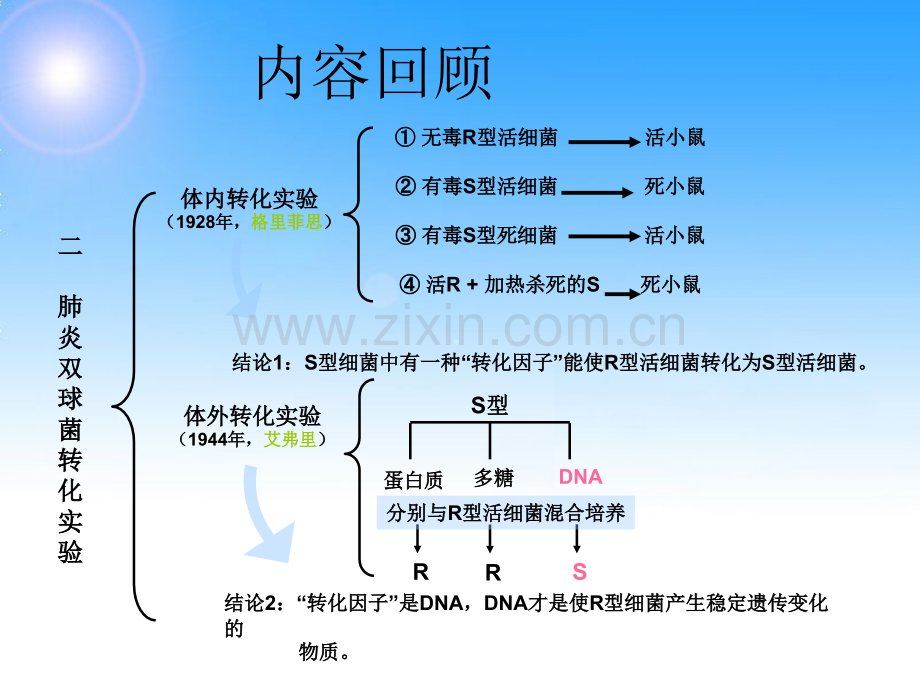 噬菌体侵染大肠细菌的实验详细版.pptx_第1页