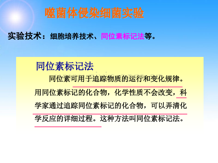 噬菌体侵染大肠细菌的实验详细版.pptx_第3页