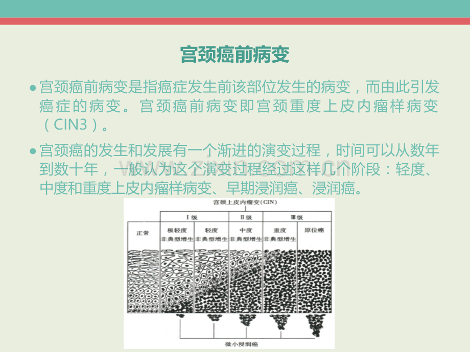 宫颈细胞学检查.pptx_第3页