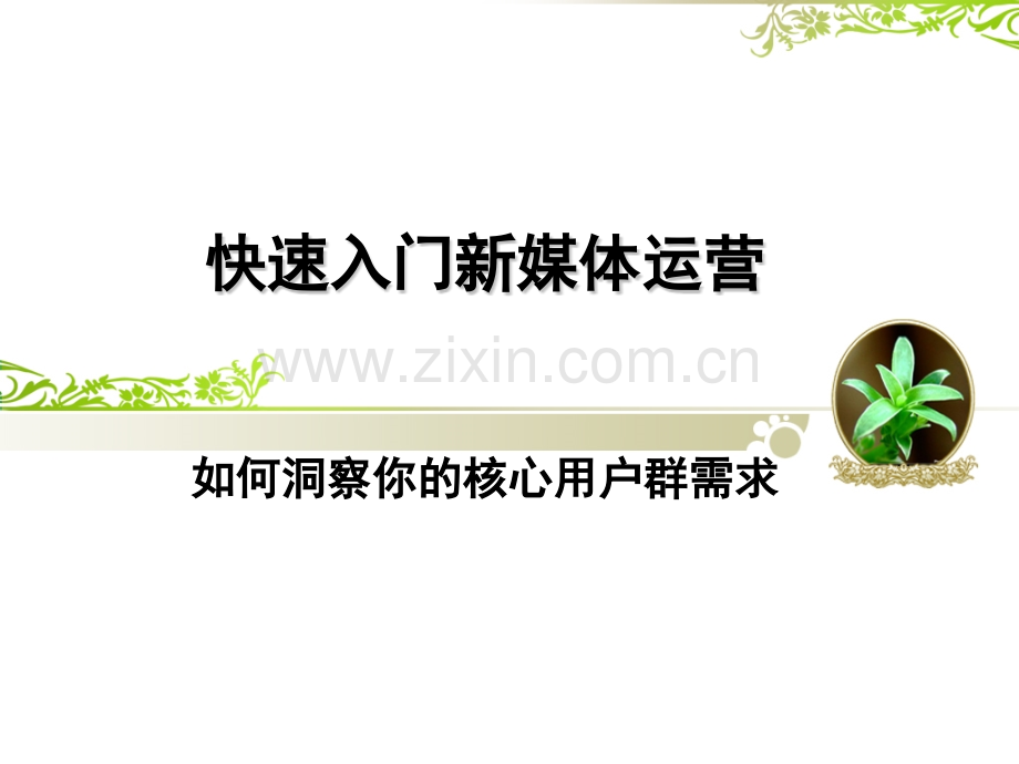 快速入门新媒体运营之如何洞察你的核心用户群需求.pptx_第1页