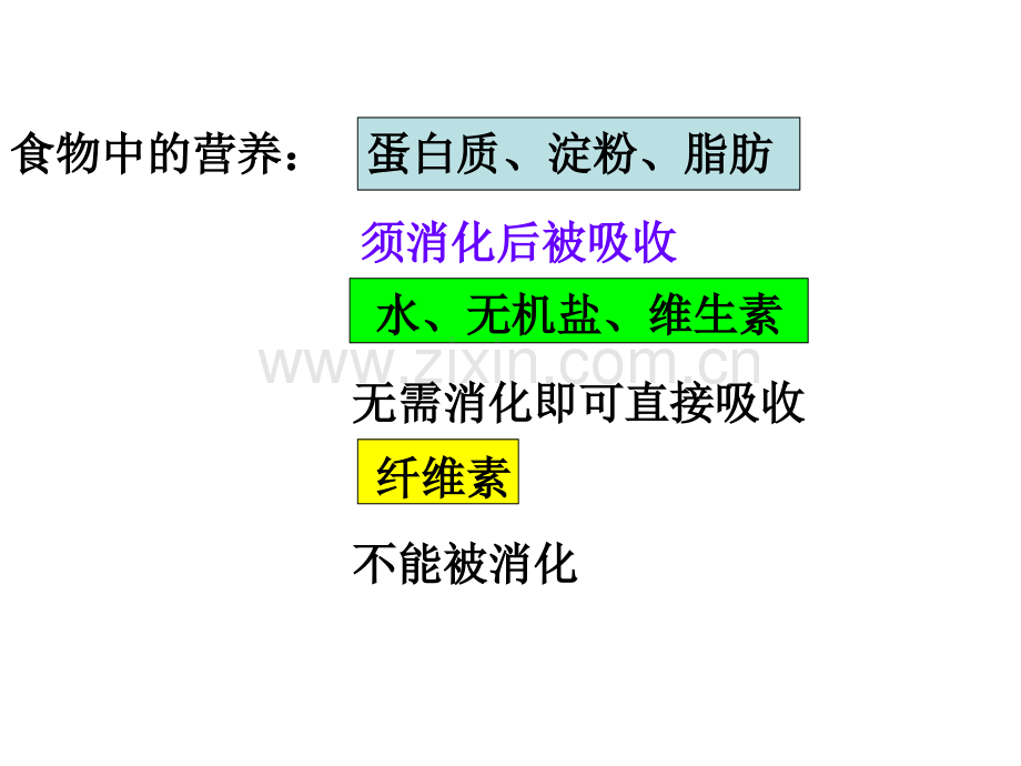 初中生物七年级下册消化和吸收.pptx_第3页