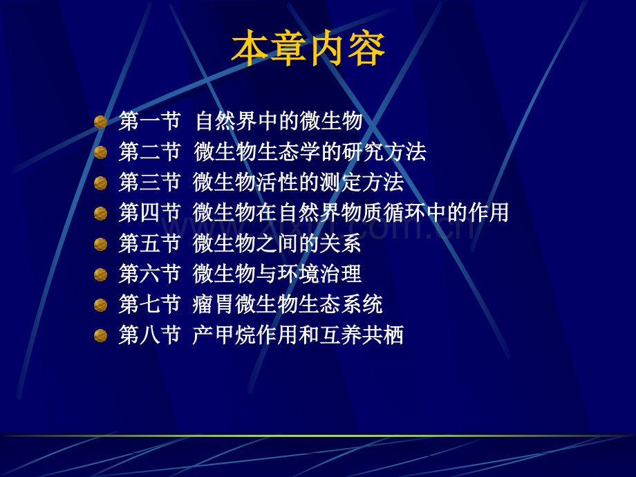 微生物的生态工业微生物学课件.pptx_第2页