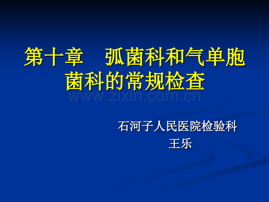 弧菌科和气单胞菌科的常规检查.pptx_第1页