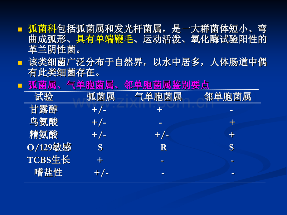 弧菌科和气单胞菌科的常规检查.pptx_第2页