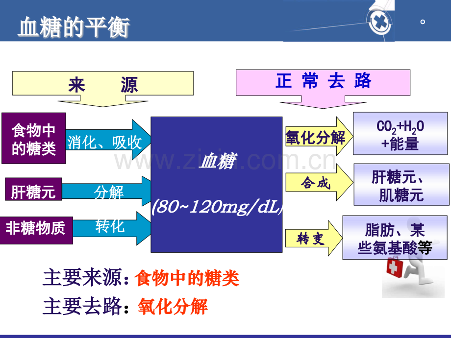 危重患者的血糖控制与护理.pptx_第3页