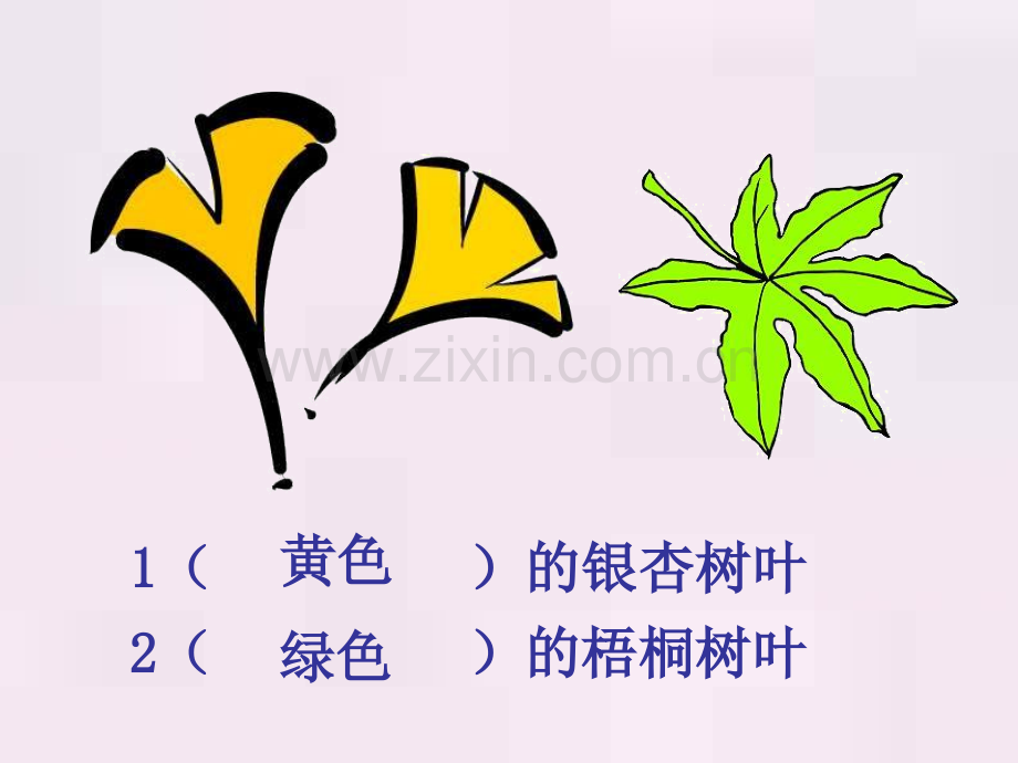 小学语文二年级上册蓝色树叶.pptx_第3页