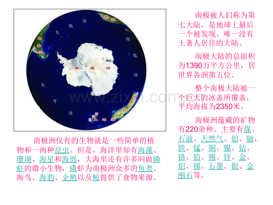 大象版四年级科学上册走进两极.pptx_第3页