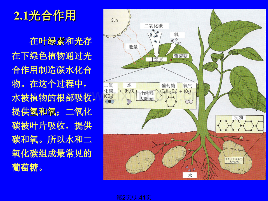 大师谈营养与健康之碳水化合物.pptx_第2页