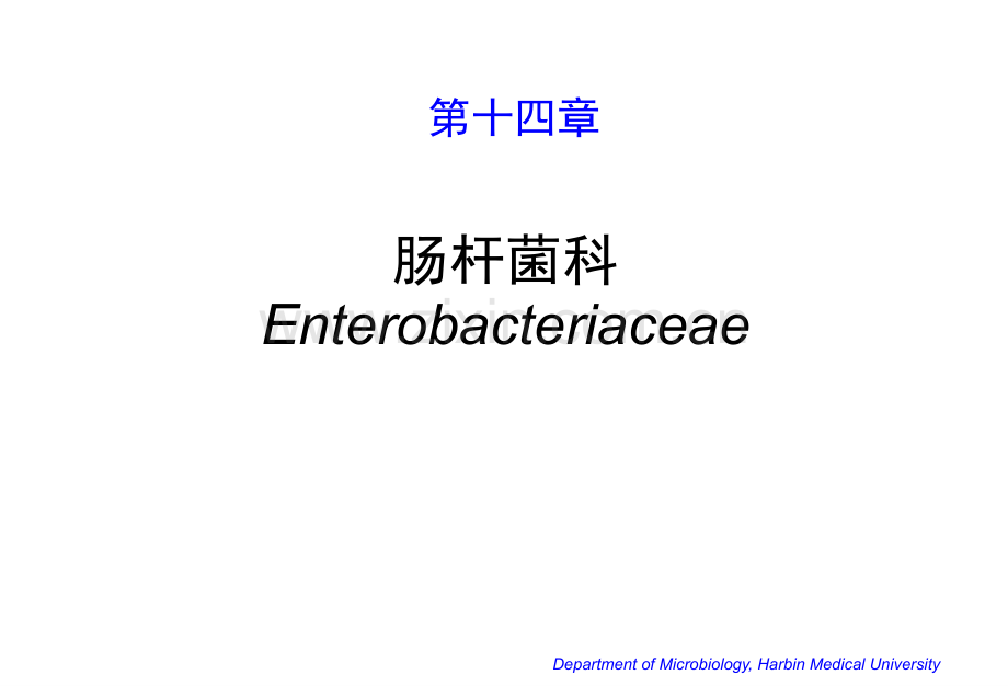 微生物学肠杆菌科.pptx_第1页