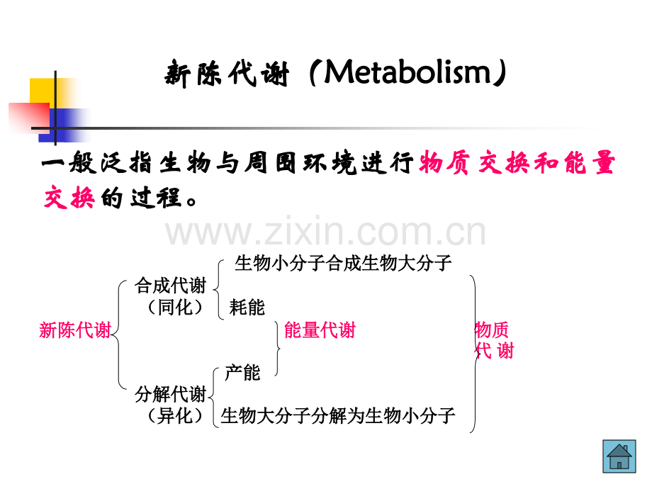 微生物代谢学时.pptx_第2页