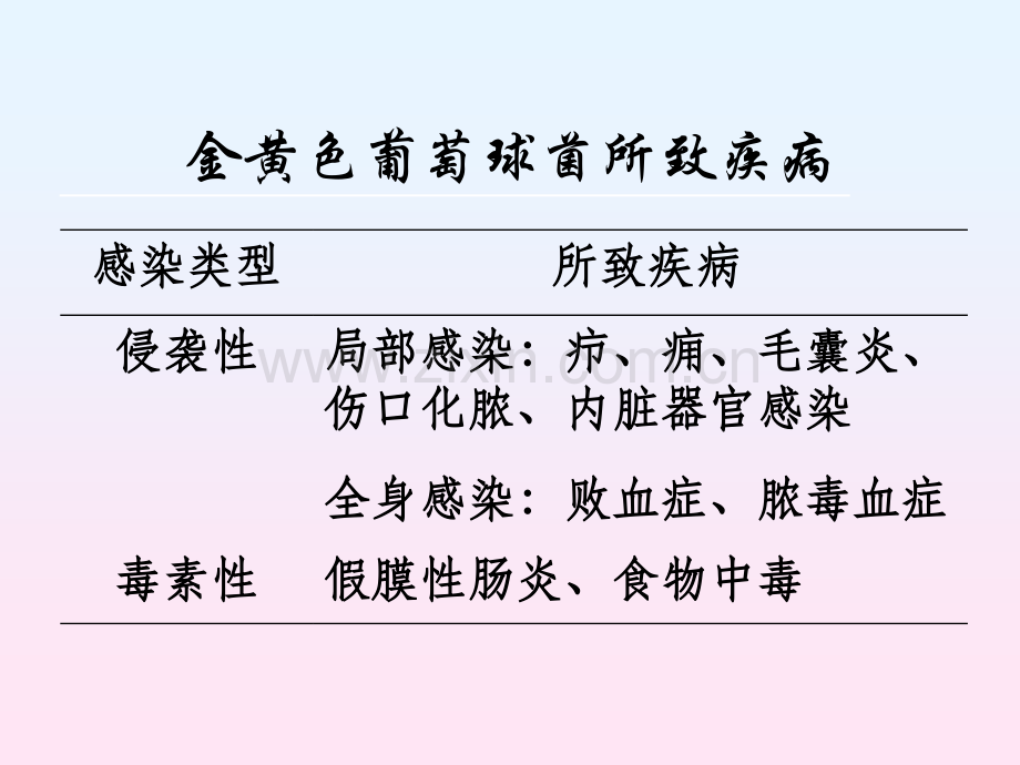 微生物检验G球菌.pptx_第2页