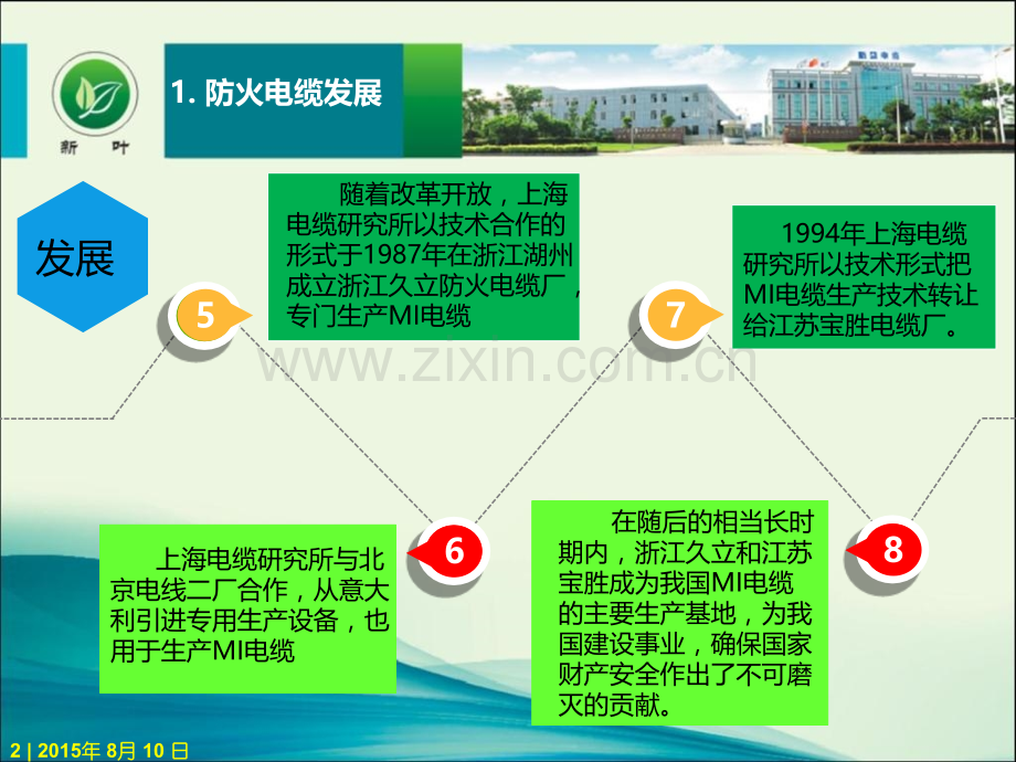 新叶电缆柔性防火电缆产品介绍.pptx_第2页