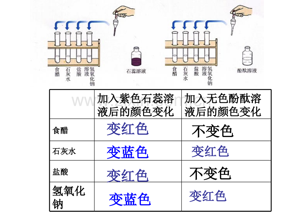 常见的酸和碱时1.pptx_第2页