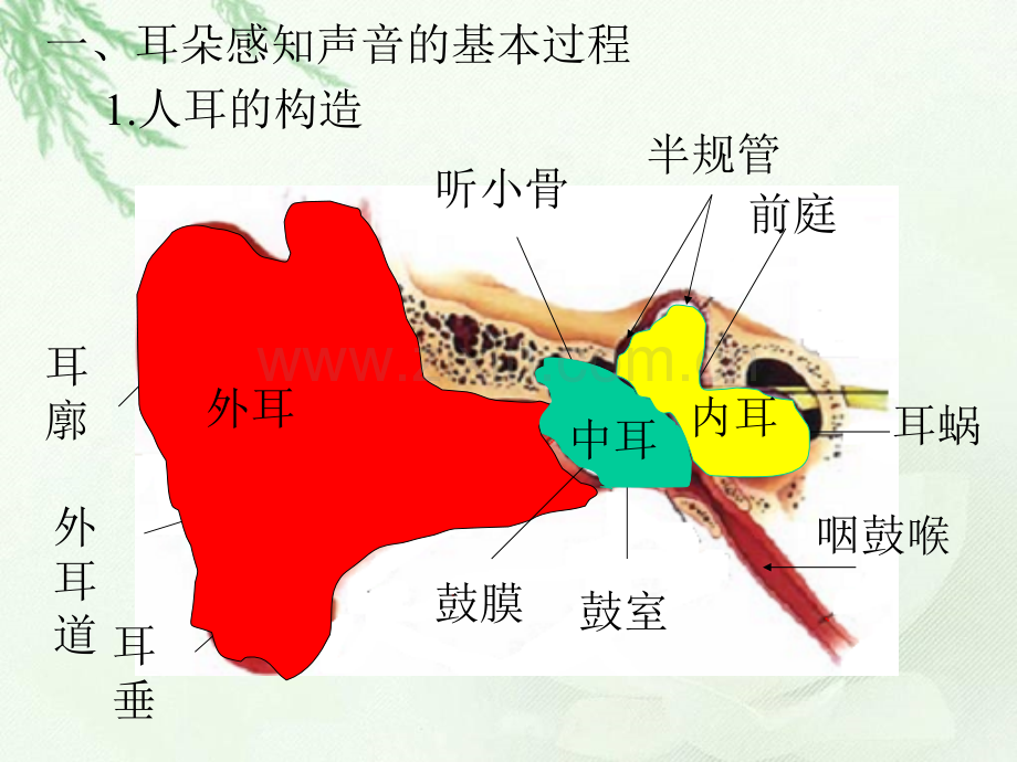 六时我们是怎样听到声音.pptx_第1页