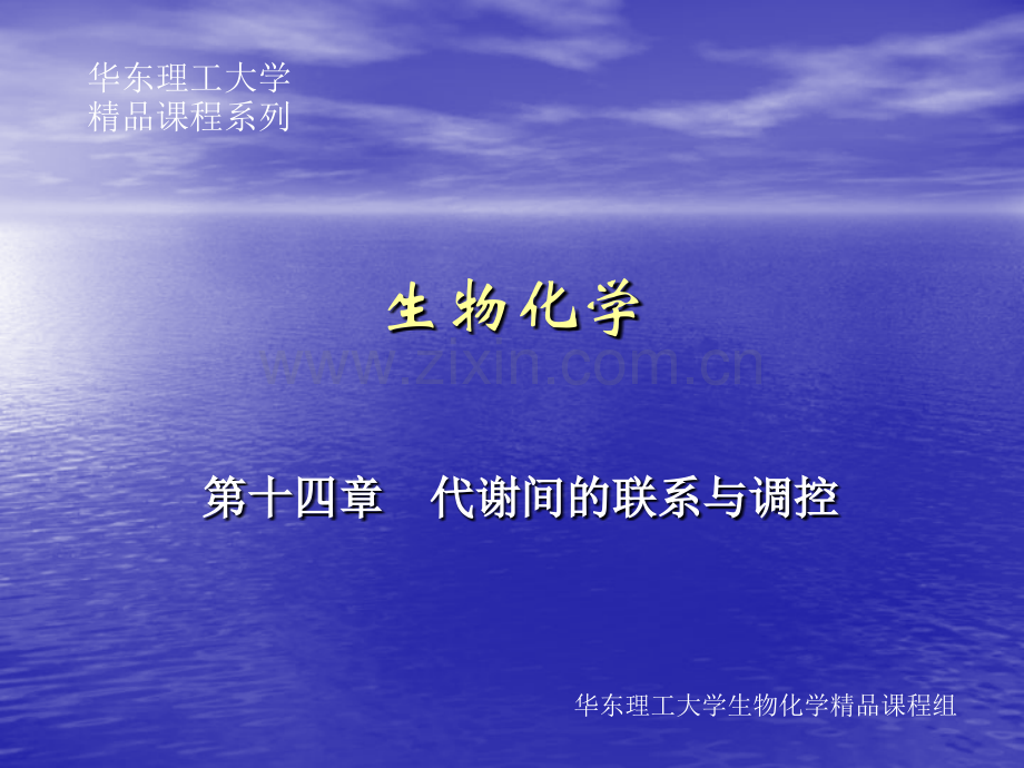 华东理工生物化学chap14.pptx_第1页