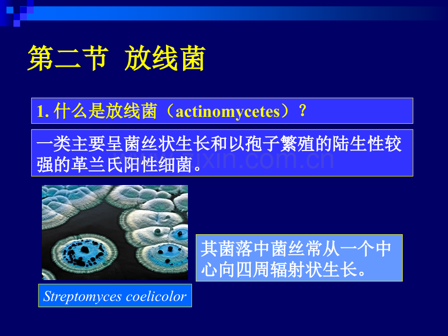 原核微生物03.pptx_第2页