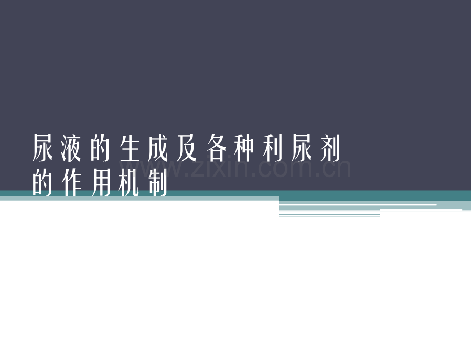 尿液的生成及各种利尿剂的作用机制.pptx_第1页