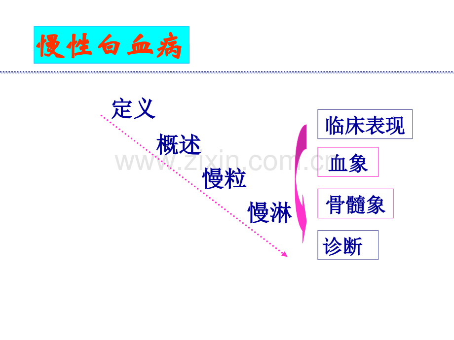 慢性白血病17.pptx_第2页