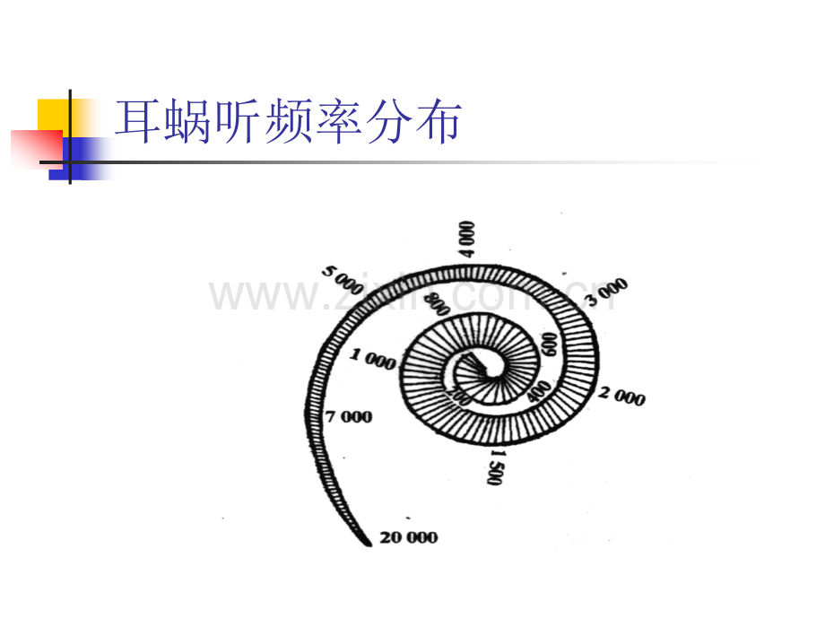 噪声与高温职业健康监护.pptx_第3页