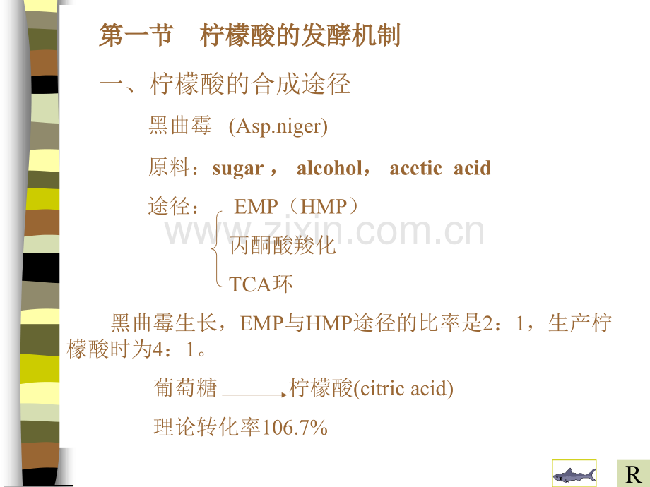 好氧发酵产物积累机制.pptx_第3页