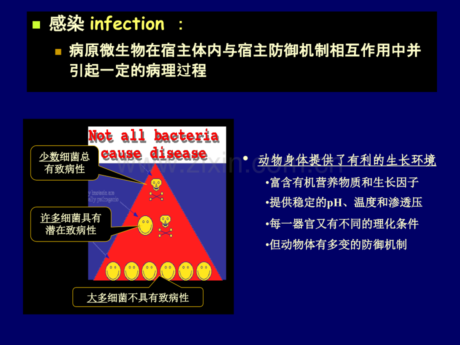 微生物学细菌与病毒的感染与致病机制200911.pptx_第2页