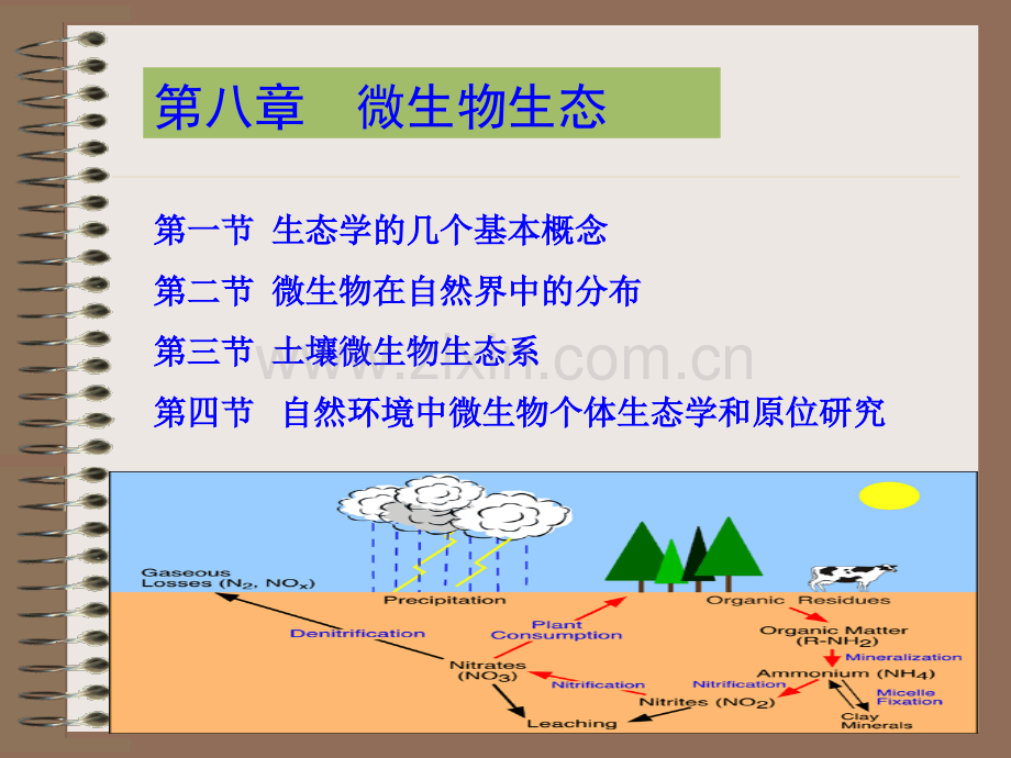 微生物生态2006秋季.pptx_第1页