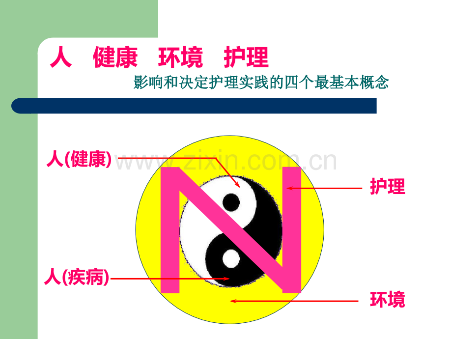 护理学的基本概念.pptx_第2页