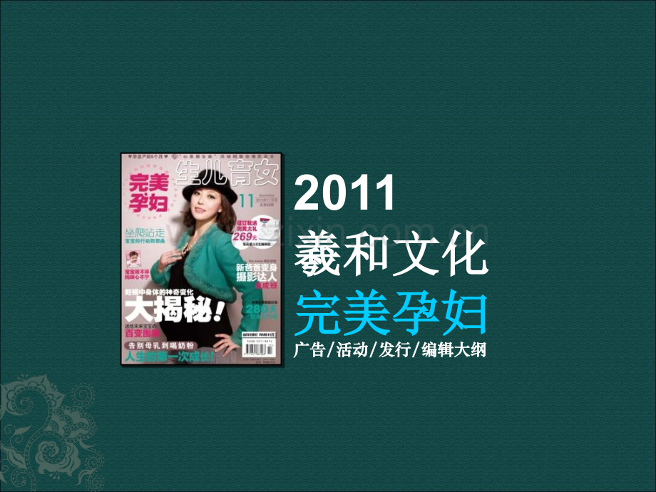 完美孕妇2011刊例2011羲和文化市场推广计划.pptx_第2页