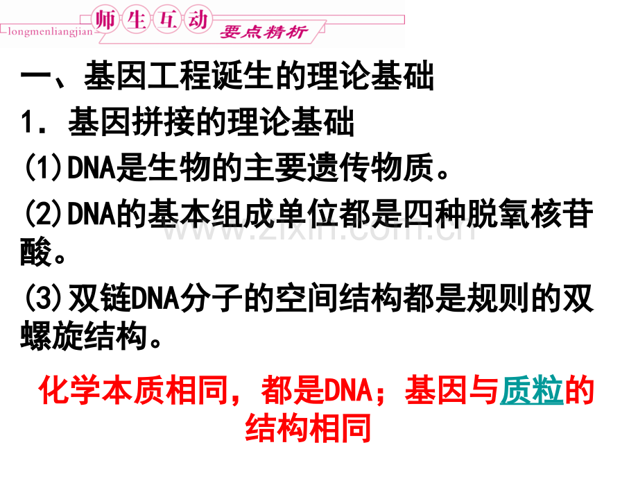 复习DNA重组技术的基本工具.pptx_第2页