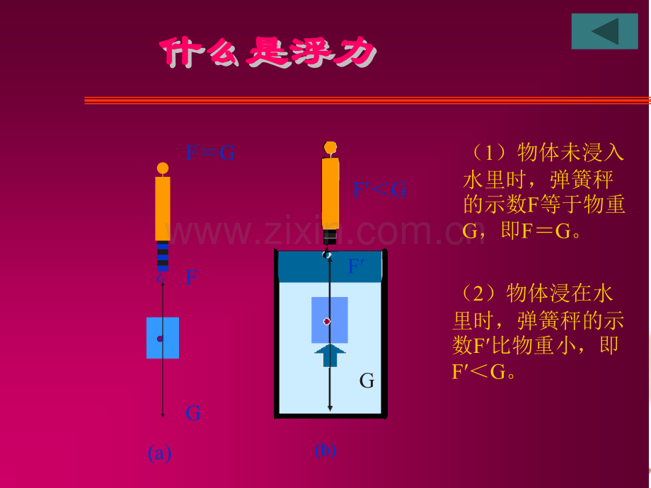 初中物理压强和浮力.pptx_第3页