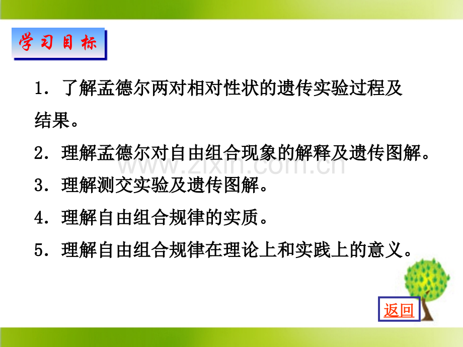 孟德尔的豌豆杂交实验二参考.pptx_第3页