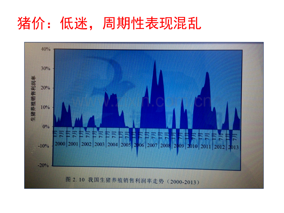 母猪效益最大化.pptx_第3页