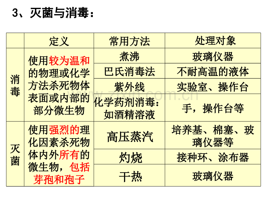 微生物技术部分.pptx_第3页