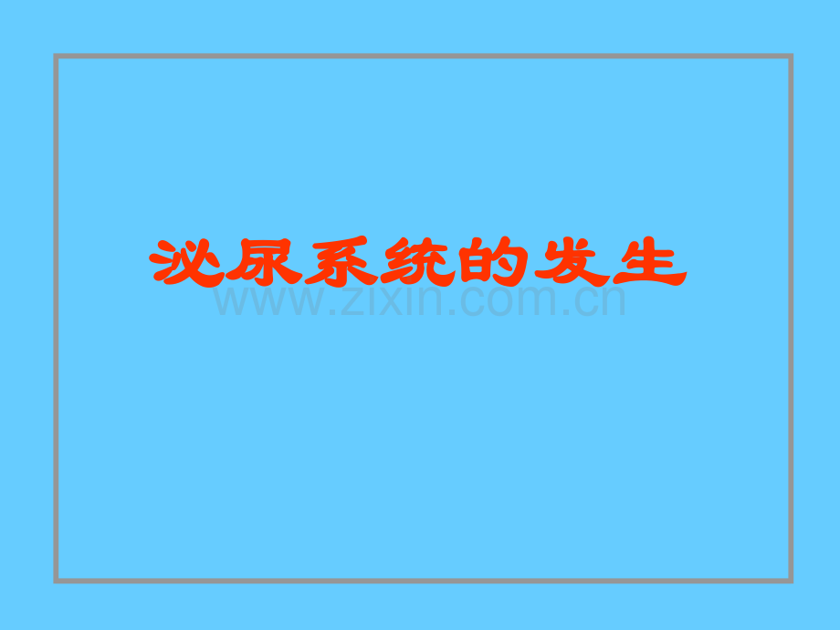 泌尿系统和生殖系统的发生.pptx_第3页