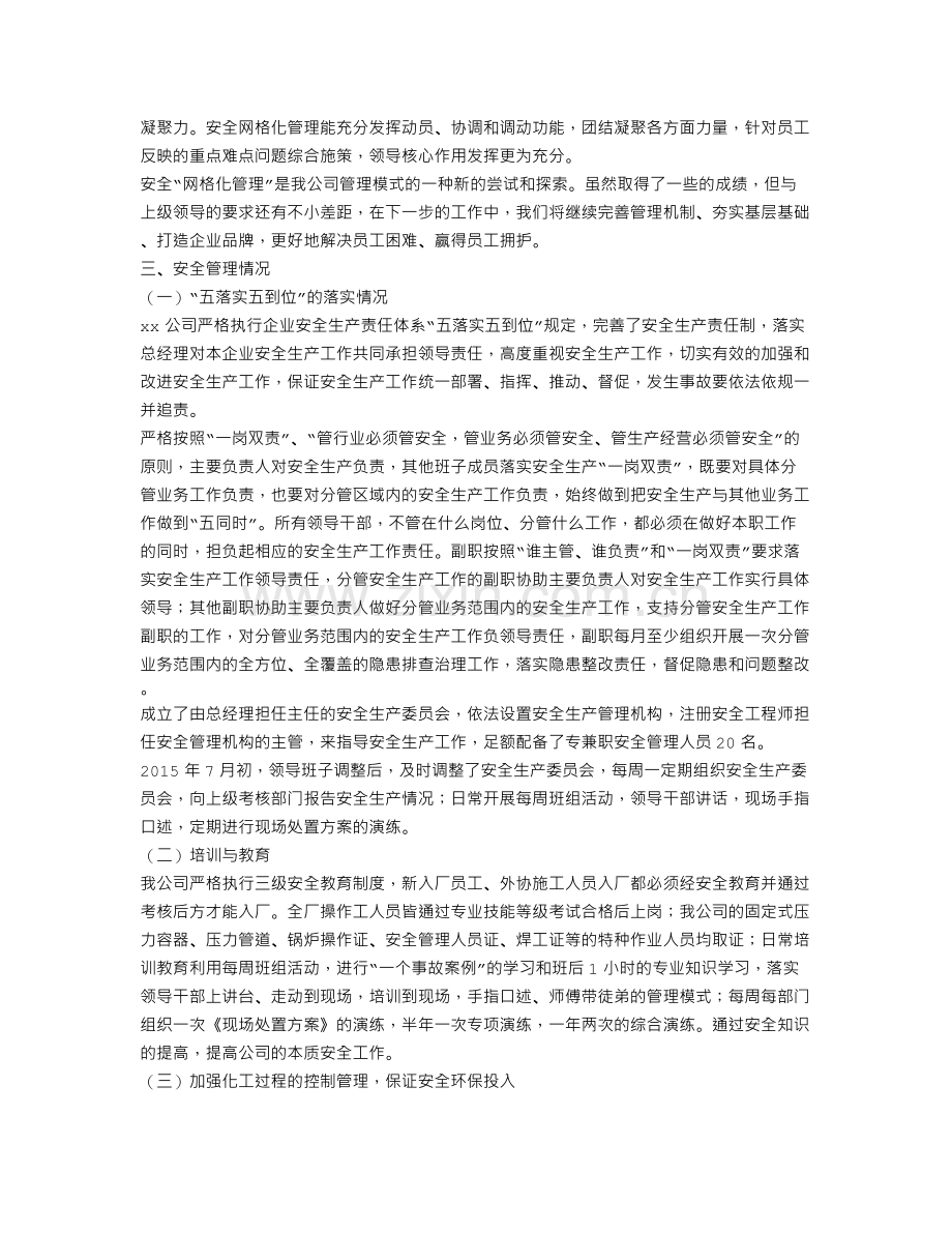 安全生产网格化工作总结.doc_第3页