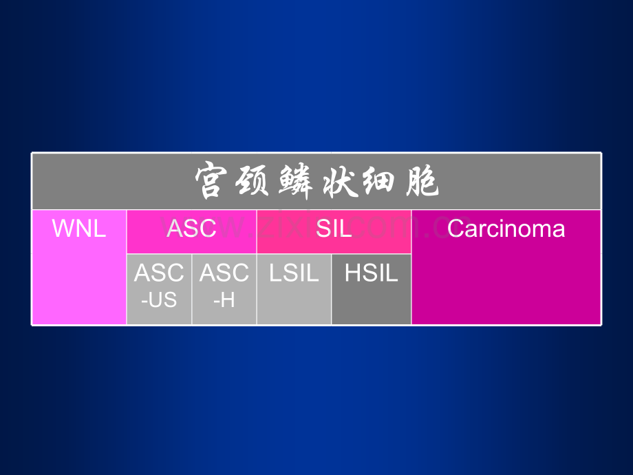 宫颈上皮内瘤变的诊断及处理.pptx_第3页