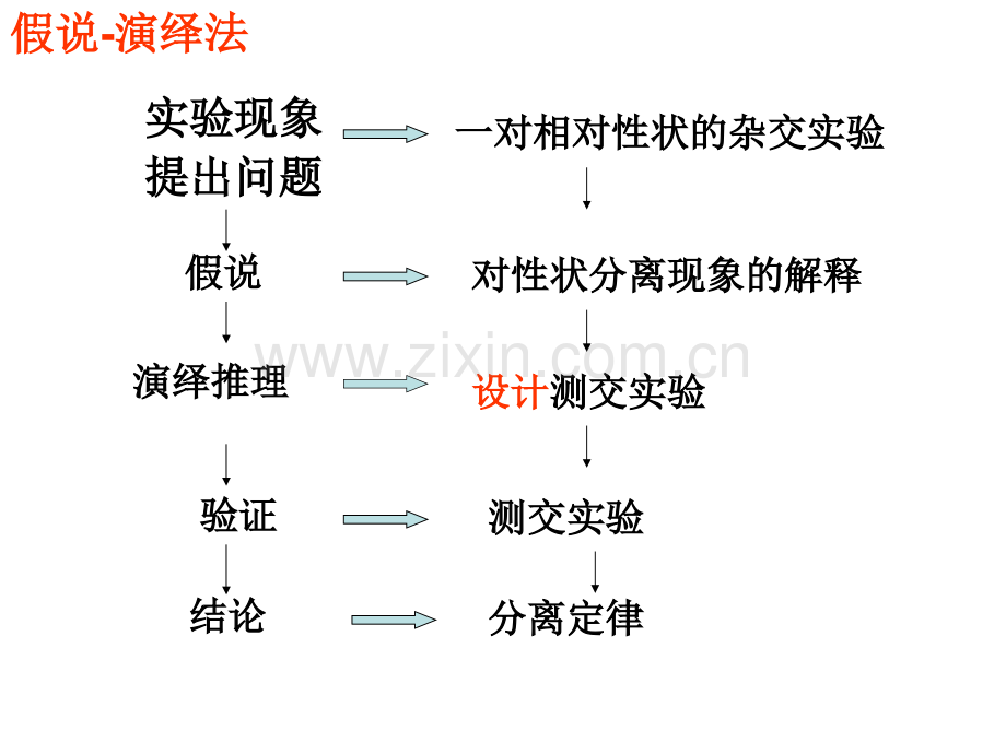 孟德尔的豌豆杂交实验-二.pptx_第3页