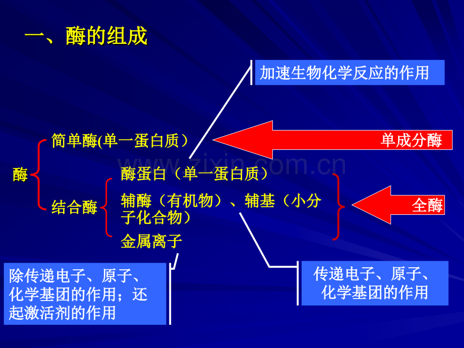 微生物的生理1.pptx_第3页