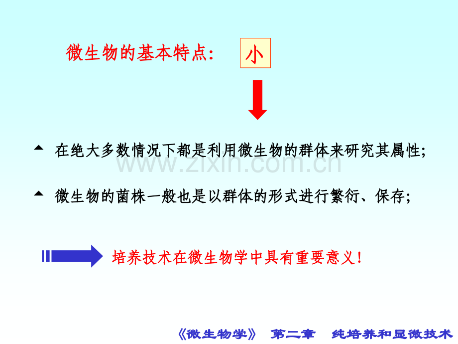 微生物的纯培养.pptx_第3页