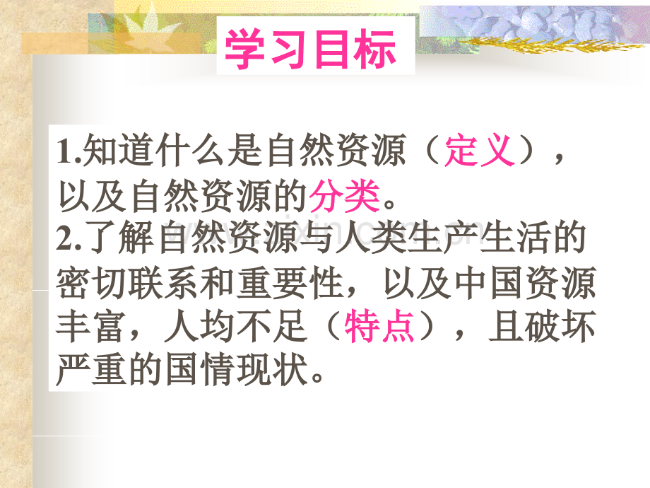 初中地理八年级上册一节自然资源总量丰富-人均不足.pptx_第2页