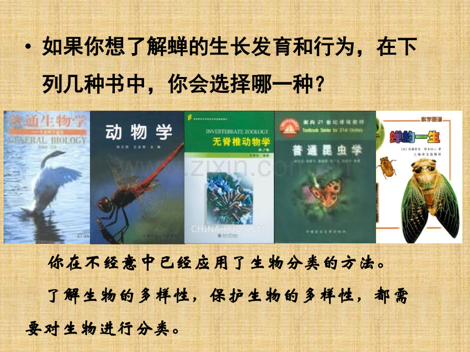 八年级生物下册生物的分类北师大版.pptx_第2页