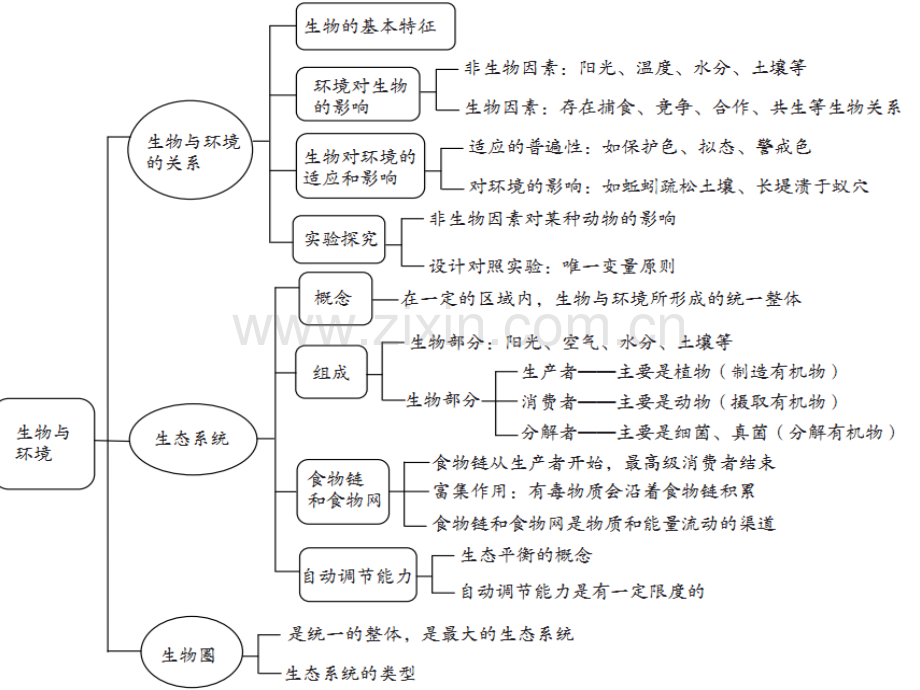 初中生物会考专题复习.pptx_第3页